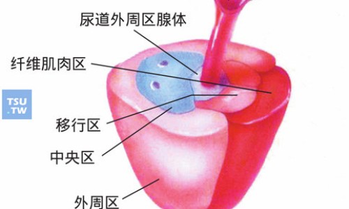 美宝胃肠胶囊副作用大不大-美宝胃肠胶囊副作用网- 美宝胃肠胶囊吃多久一个疗程知识,分享美宝牌胃肠胶囊多少钱一盒
